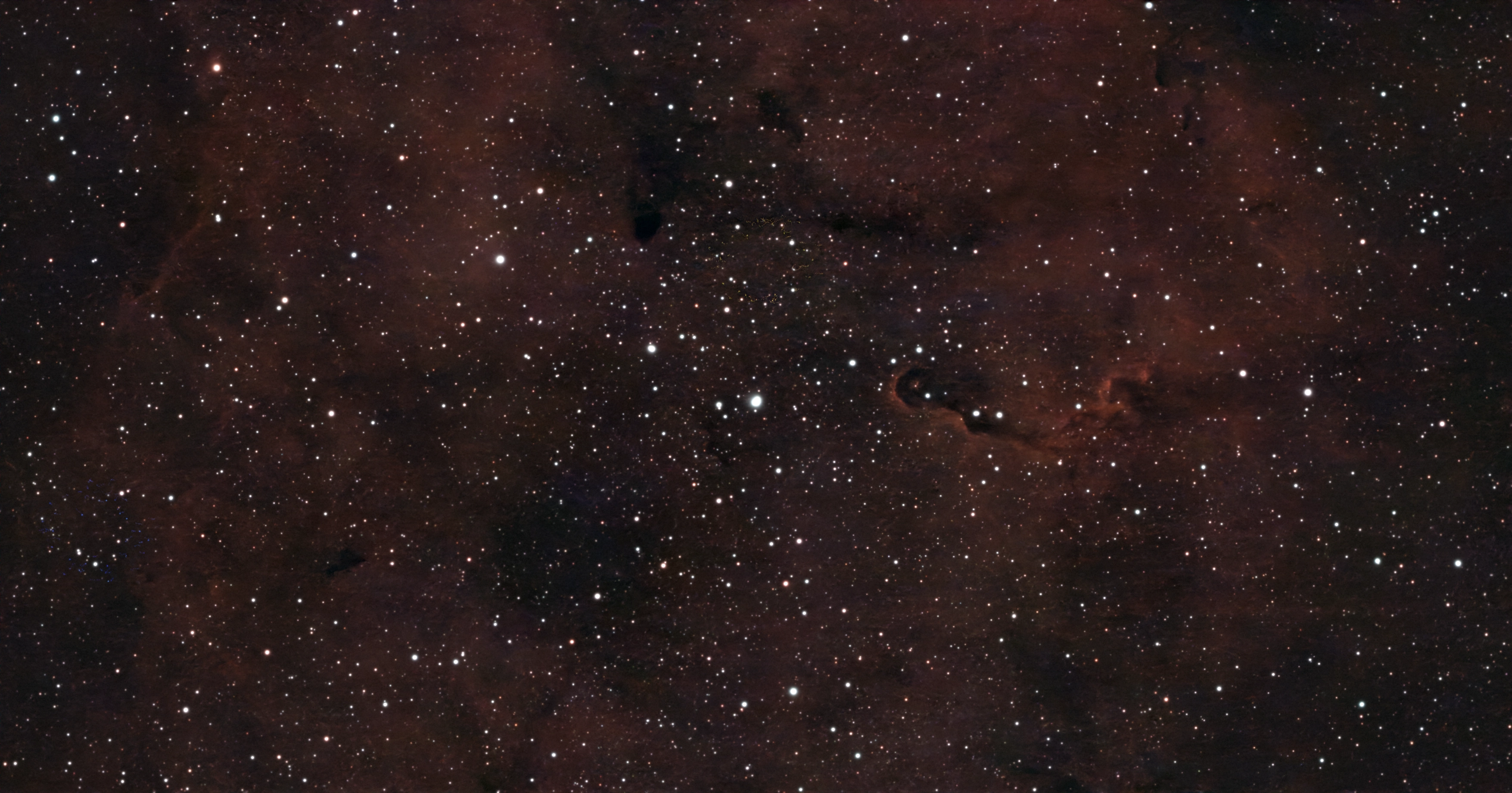 Dark curling trunk surrounded by red nebula emission and a dense star field